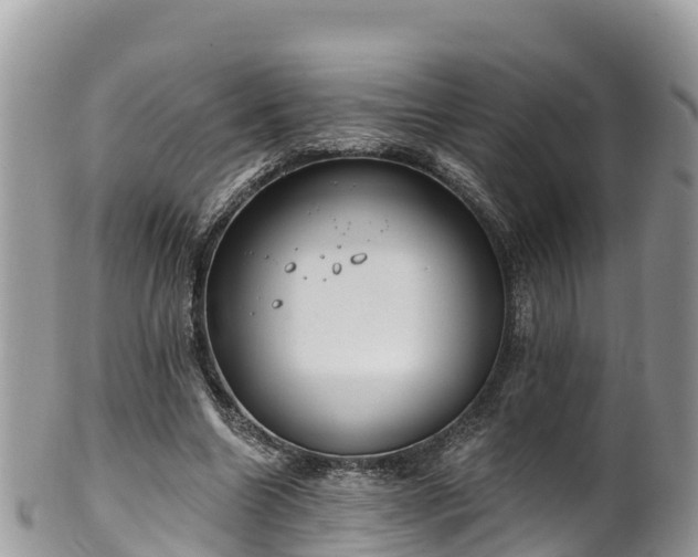 X0000102290538200808011515