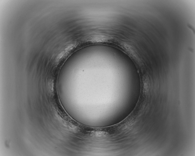 X0000102290539200808011515