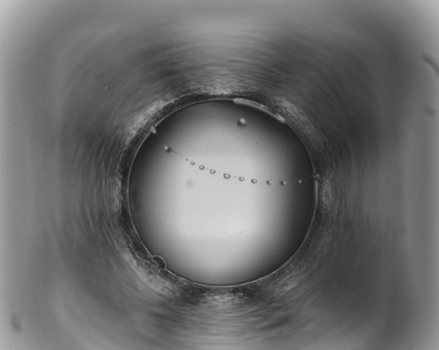 X0000102290540200808011515