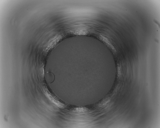 X0000102290541200808011515