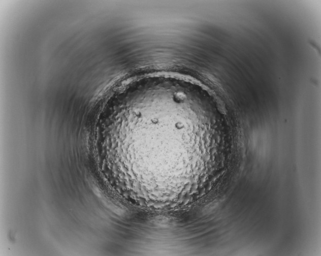 X0000102290542200808011515