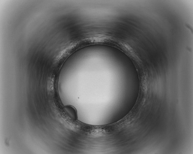 X0000102290543200808011515