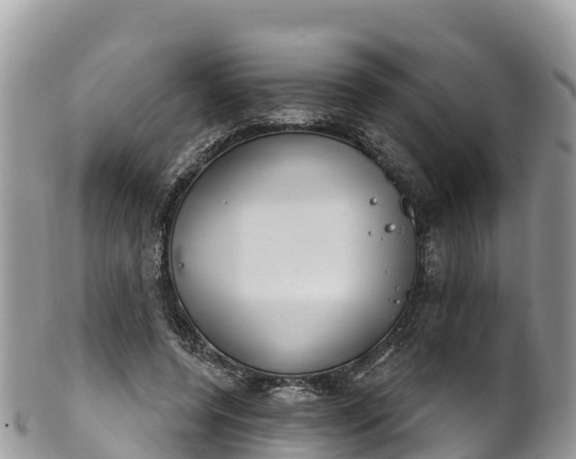 X0000102290544200808011515