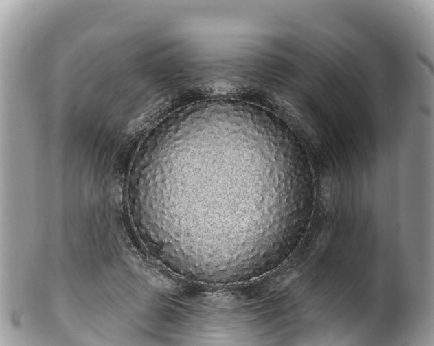 X0000102290545200808011515