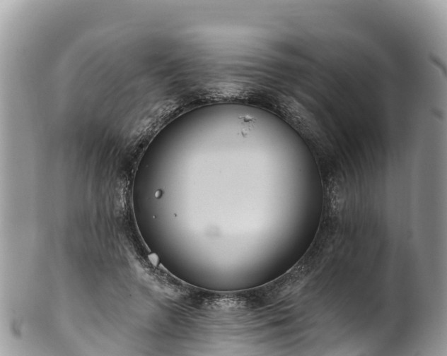 X0000102290546200808011515