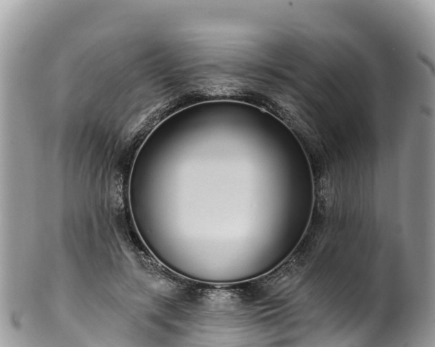 X0000102290547200808011515