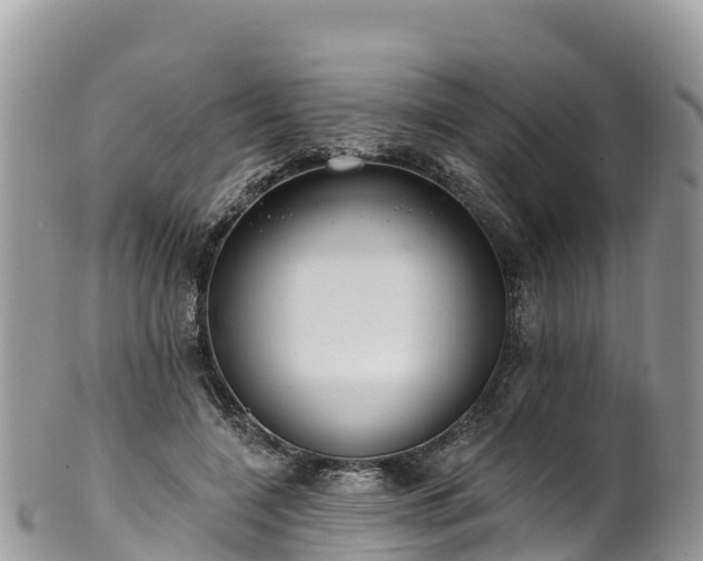 X0000102290548200808011515