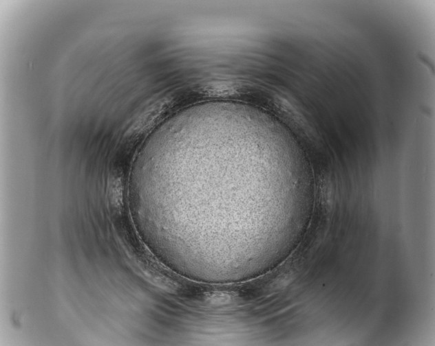 X0000102290549200808011515