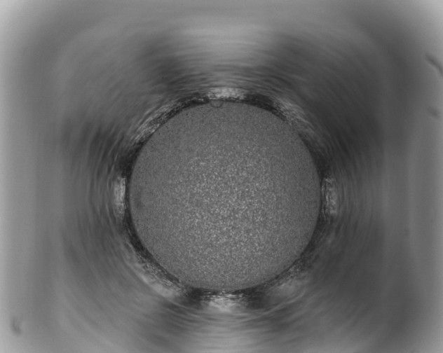 X0000102290550200808011515