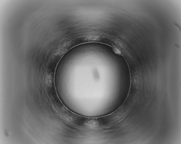 X0000102290551200808011515