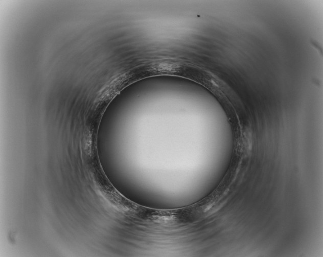 X0000102290552200808011515