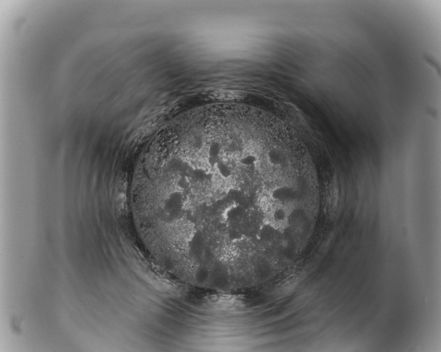 X0000102290553200808011515