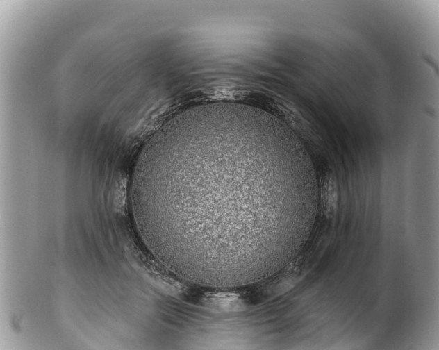 X0000102290554200808011515