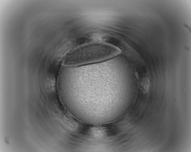 X0000102290556200808011515