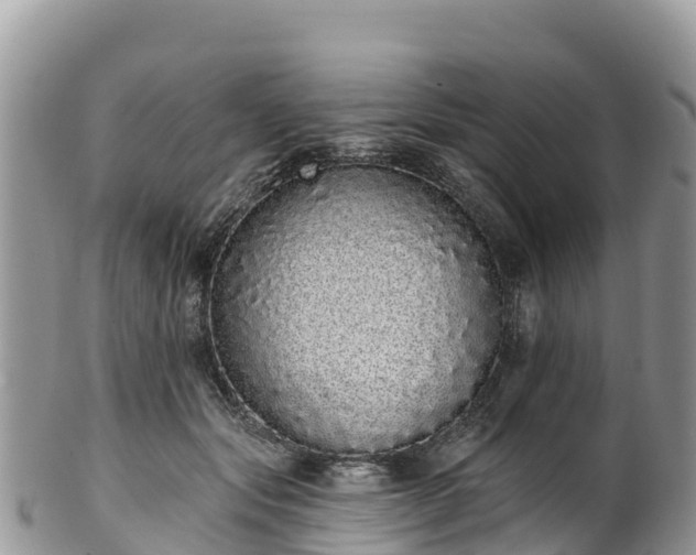 X0000102290557200808011515