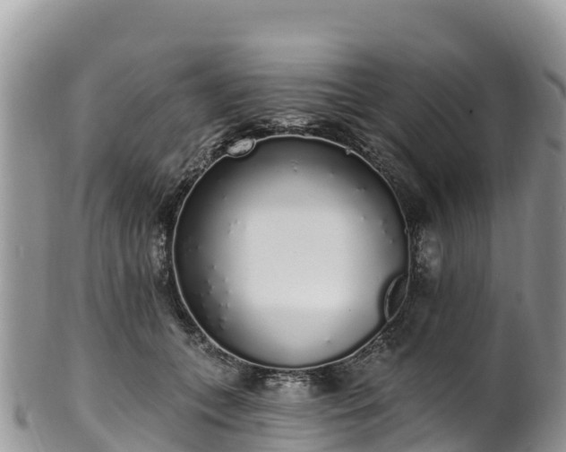 X0000102290559200808011515