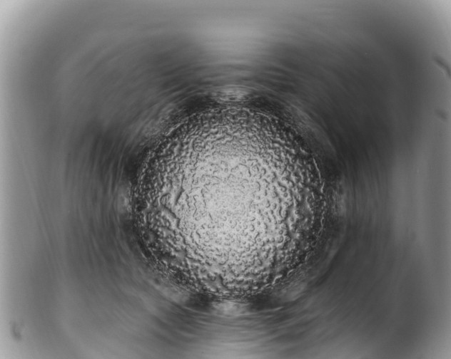 X0000102290561200808011515