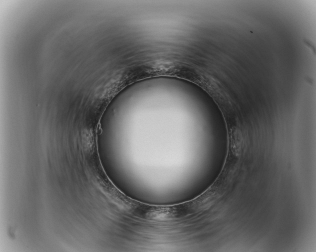 X0000102290563200808011515