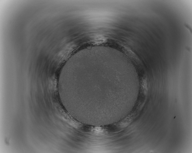 X0000102290565200808011515