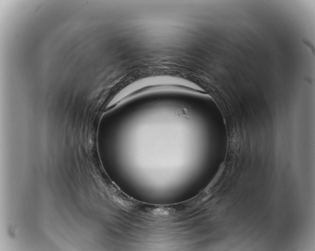 X0000102290566200808011515