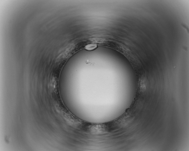 X0000102290567200808011515