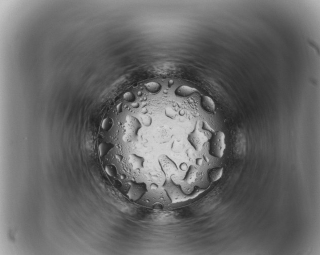 X0000102290569200808011515