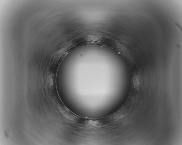 X0000102290570200808011515