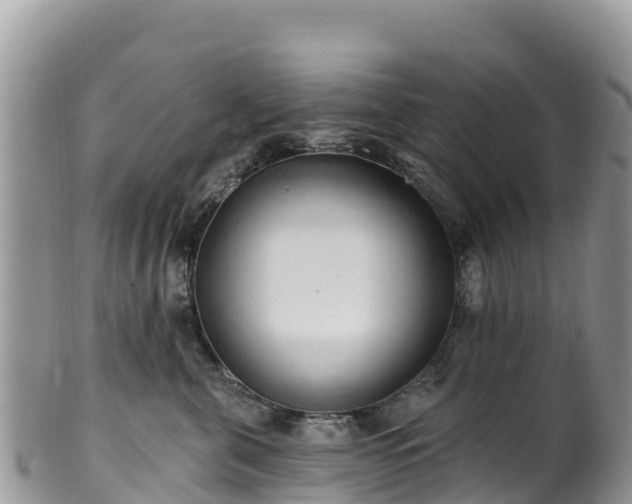 X0000102290571200808011515