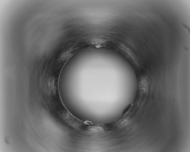 X0000102290572200808011515