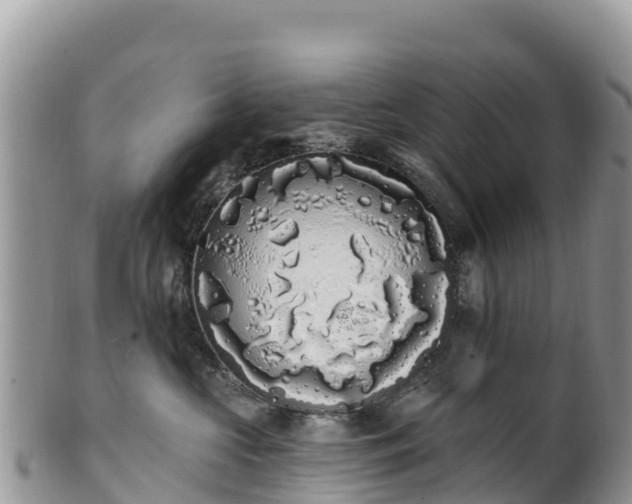 X0000102290573200808011515