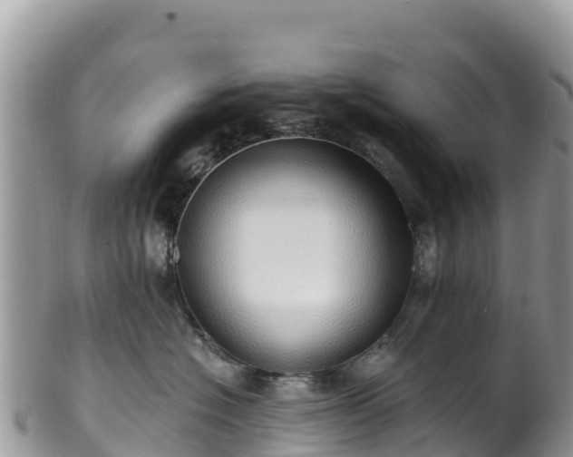 X0000102290574200808011515