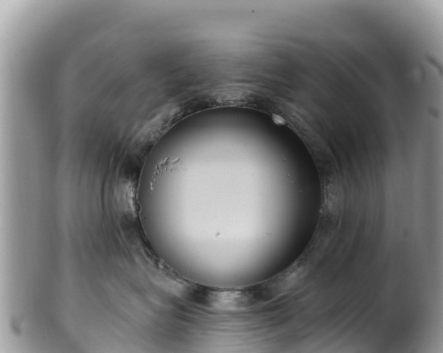 X0000102290575200808011516