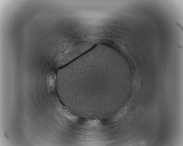 X0000102290576200808011516