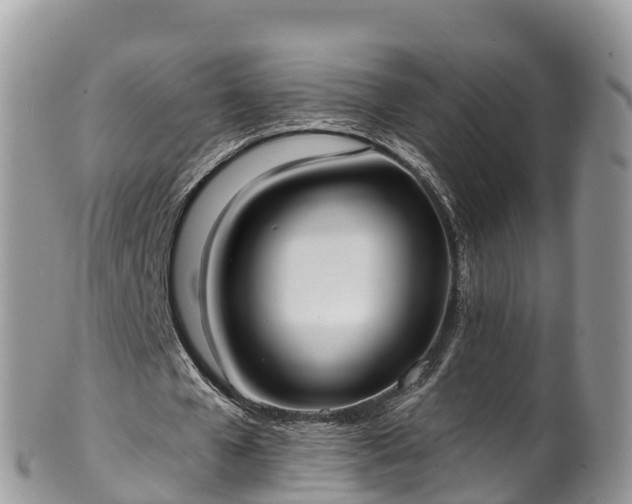 X0000102290577200808011515