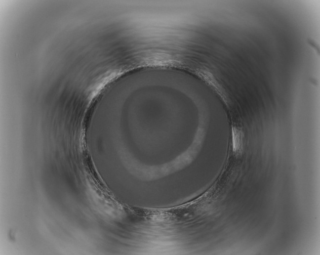 X0000102290579200808011515