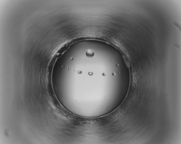 X0000102290580200808011515