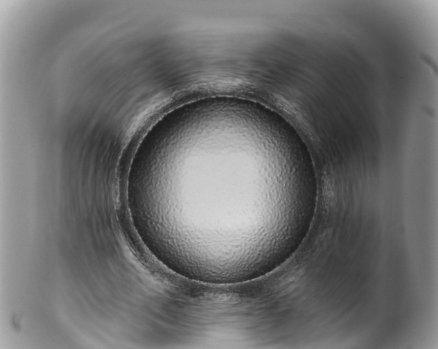 X0000102290582200808011515