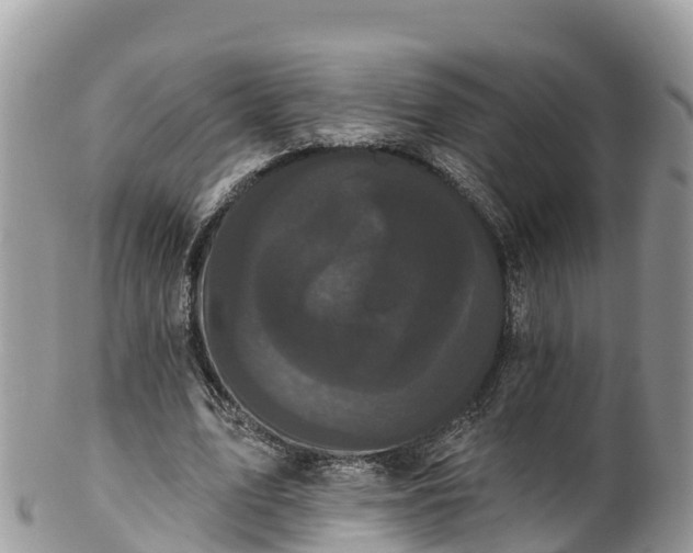 X0000102290583200808011515