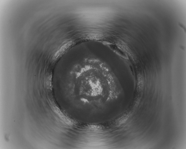 X0000102290585200808011515