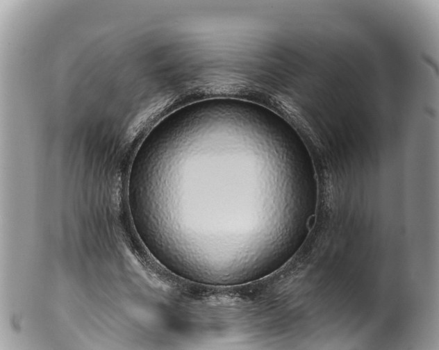 X0000102290586200808011515