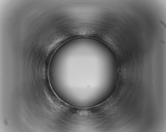 X0000102290587200808011515