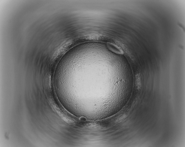 X0000102290589200808011515