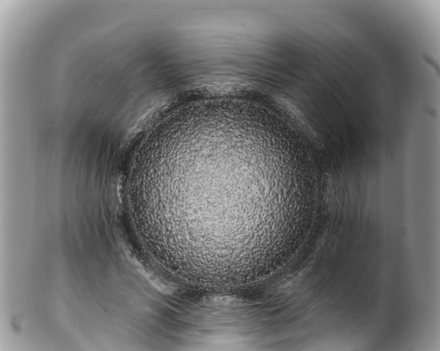 X0000102290590200808011515