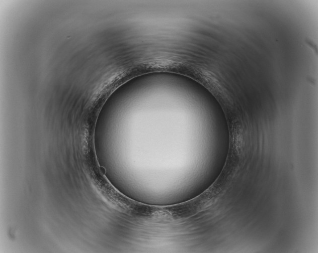 X0000102290591200808011515