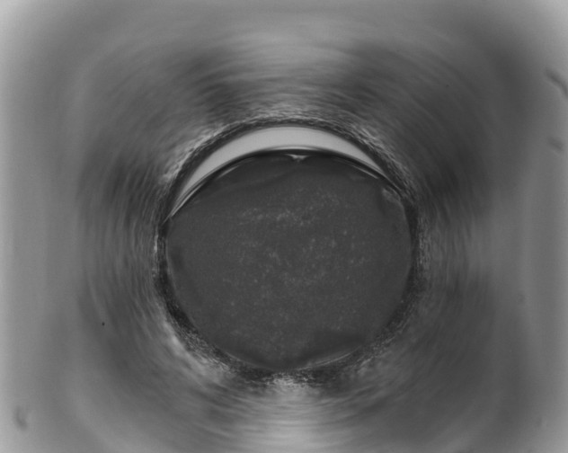 X0000102290592200808011515