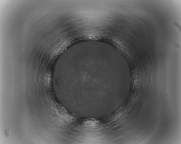 X0000102290595200808011515