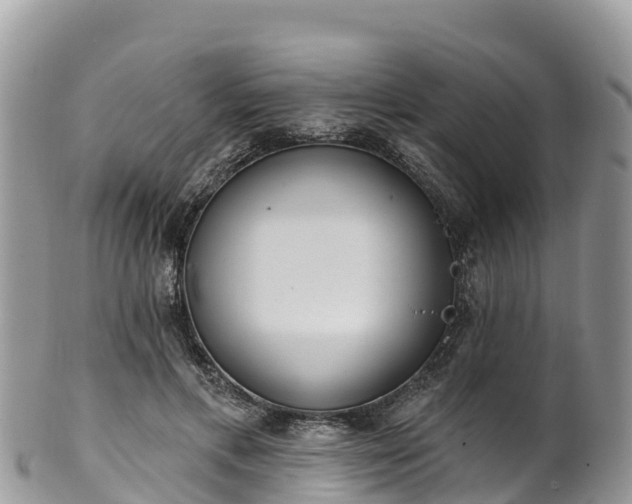 X0000102290597200808011515