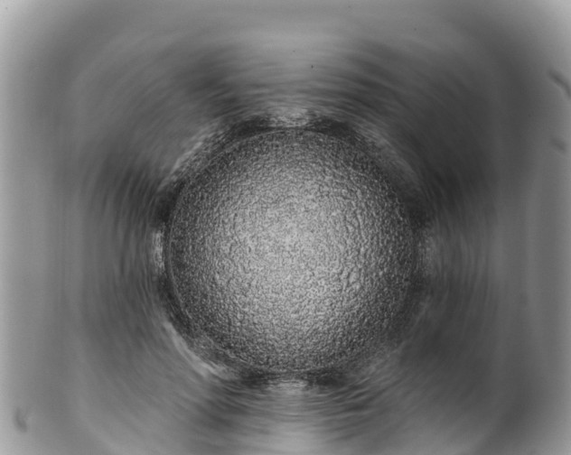 X0000102290598200808011515