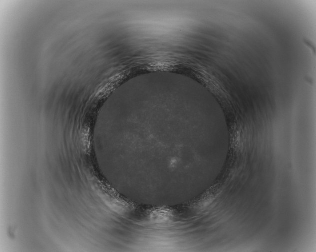 X0000102290599200808011515