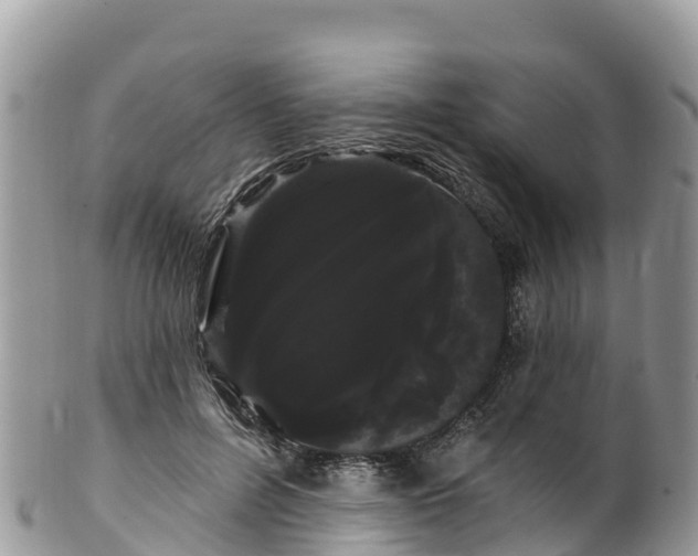 X0000102290600200808011514